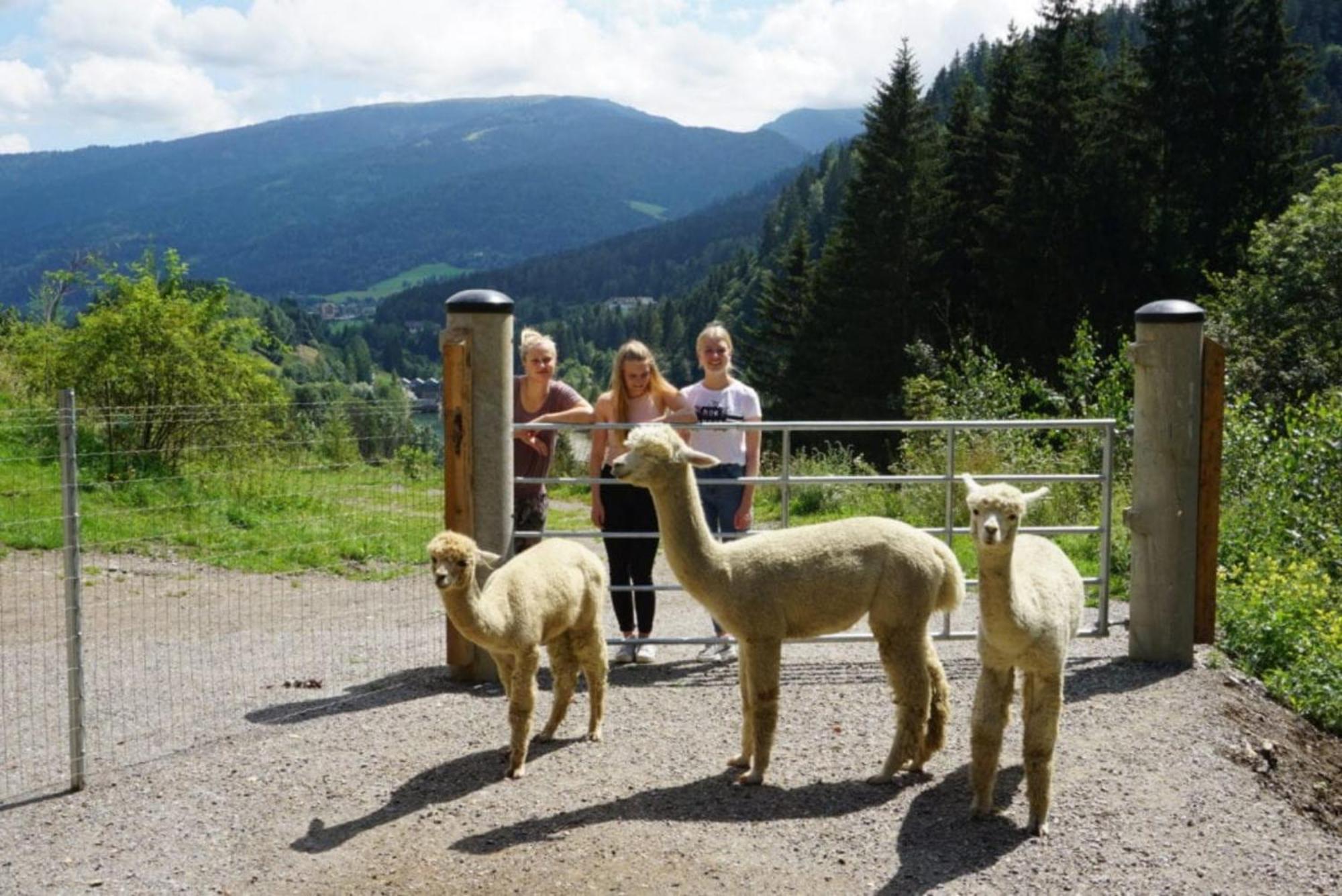 Vitalhof Am Kreischberg By Alps Resorts Bodendorf  Eksteriør bilde